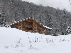 Chalet savoyard d'exception avec piscine chauffée